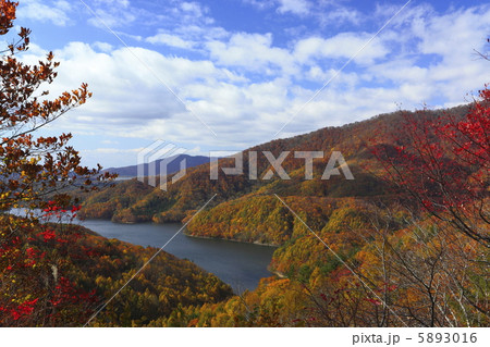 小野川湖が見える紅葉風景 5893016