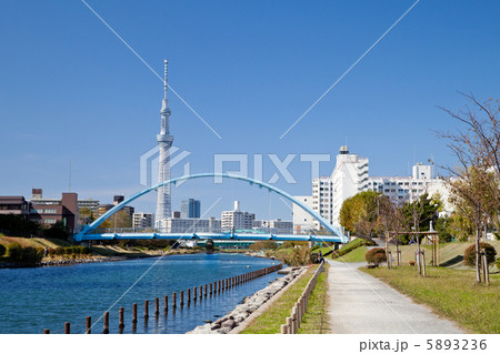 ふれあい橋と東京スカイツリー 5893236