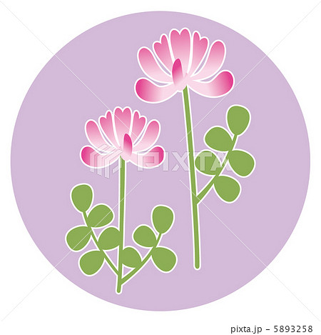 レンゲ レンゲ 5893258