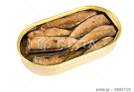 Sprat fish canned isolated 5895710