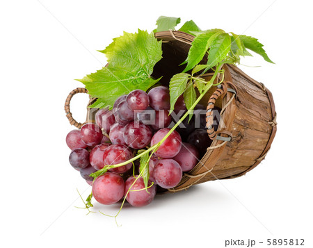 Dark blue grapes in a wooden basket Dark blue grapes in a wooden basket 5895812
