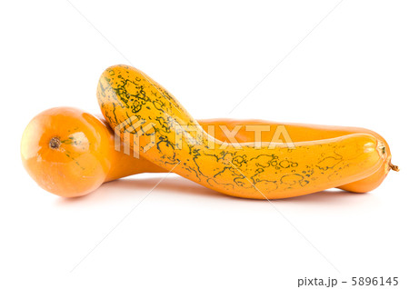 Ripe squash 5896145