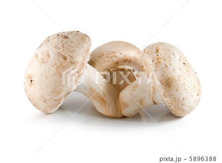 Three champignons isolated 5896388