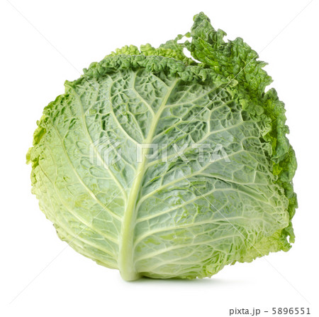 Savoy cabbage isolated 5896551