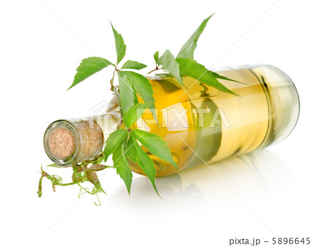 White wine and vine White wine and vine 5896645