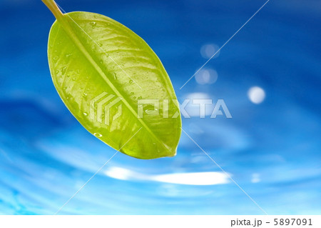 Environment Environment 5897091