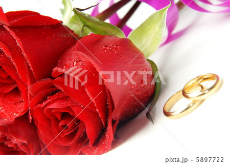 Roses and wedding rings Roses and wedding rings 5897722