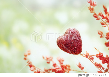 Heart of love 5897773