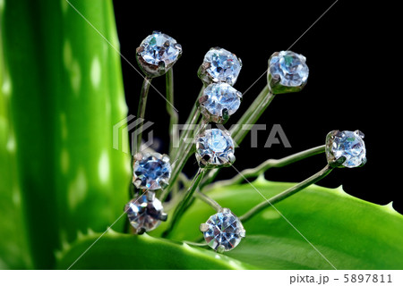 Diamonds on greenery 5897811