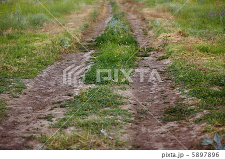 Country road 5897896