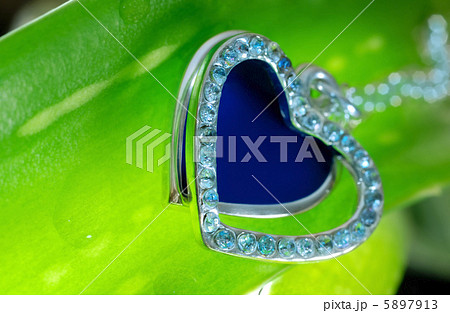 Fresh luxury 5897913