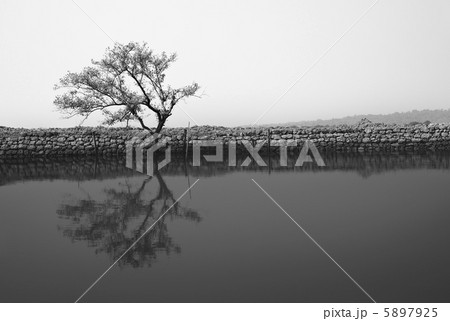 Monochrome solitude Monochrome solitude 5897925