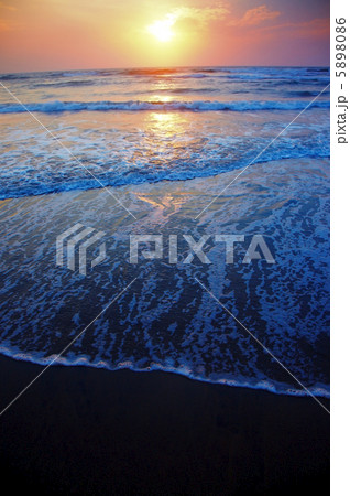 Beauty of the sea Beauty of the sea 5898086