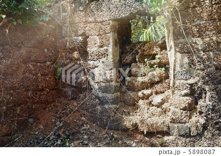 Old ruins in the jungle of India Old ruins in the jungle of India 5898087