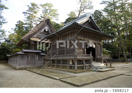 水若酢神社拝殿・本殿 5898217