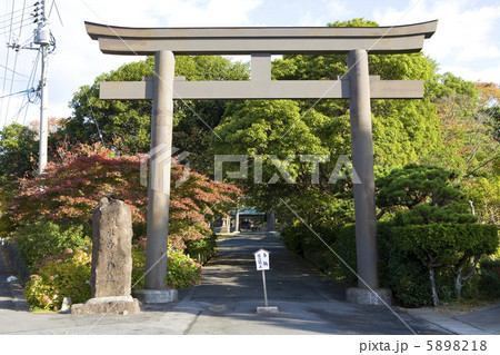 水若酢神社一ノ鳥居より参道 水若酢神社一ノ鳥居より参道 5898218