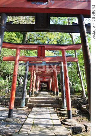 諏訪神社　鎮西大社 5899643