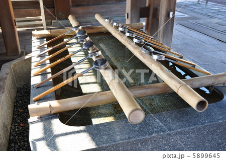 諏訪神社 鎮西大社 諏訪神社 鎮西大社 5899645