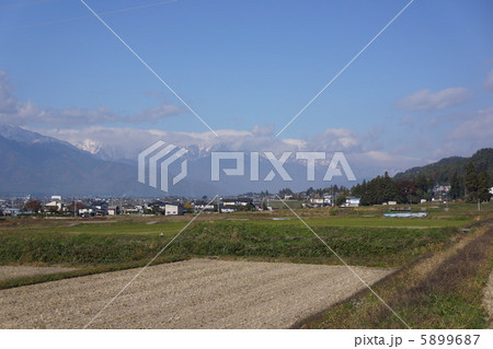北アルプスと田園風景 5899687