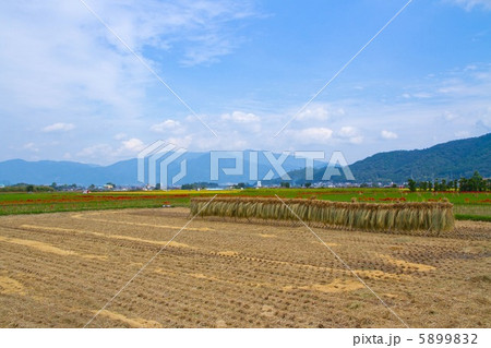 京都亀岡の田園風景 京都亀岡の田園風景 5899832