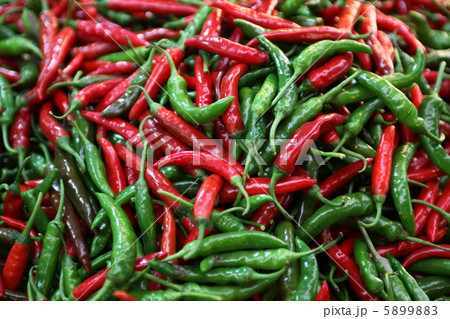 唐辛子 唐辛子 5899883