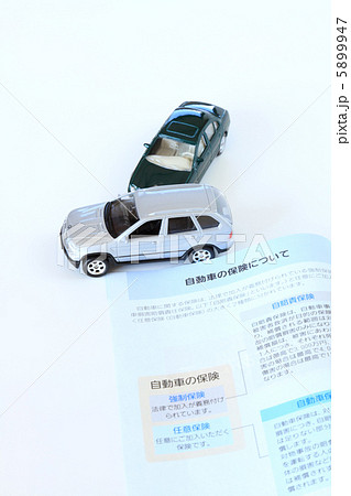 自動車保険タテ 5899947