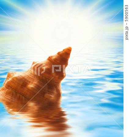 Beautiful sea scenic 5900563