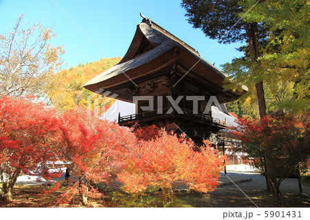 霊松寺　山門と紅葉－大町にて 5901431