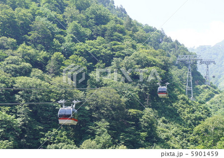 谷川岳ロープウェイ 5901459