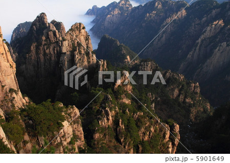 黄山の風景(中国・安徽省) 黄山の風景(中国・安徽省) 5901649