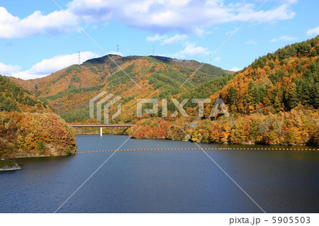 もみじ湖 5905503