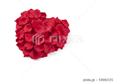 ハート形の薔薇の花びらの写真素材