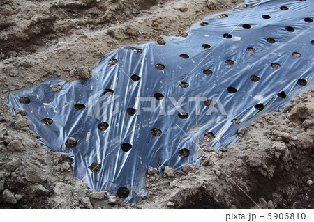 マルチシート 5906810