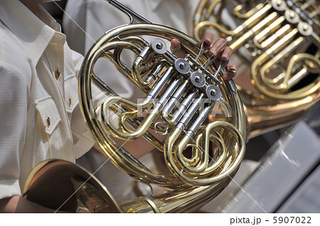 ホルンの響き 5907022