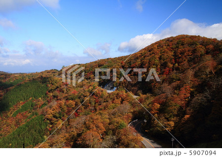 護摩壇山の紅葉 5907094