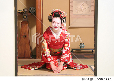 舞妓 舞妓 5907337