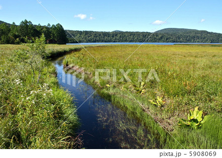 尾瀬ケ原 5908069