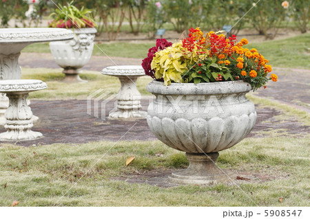 鉢植えの花 鉢植えの花 5908547