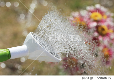 水やり 水やり 5908615