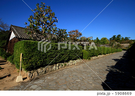 松坂城・御城番屋敷 5908669