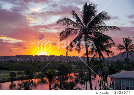 朝焼けとと椰子の木 5908674