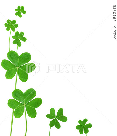 green clover 5910589