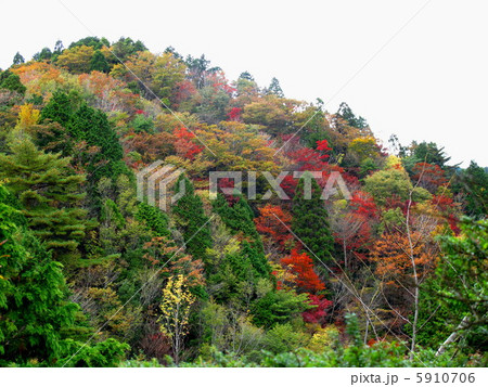 雪彦山の紅葉 5910706