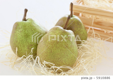 ラ・フランス　フルーツ 5910886