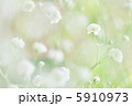 小さな声 小さな声 5910973