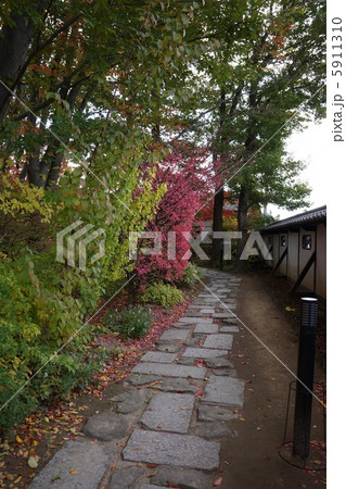 松本民芸館の庭 秋 松本民芸館の庭 秋 5911310