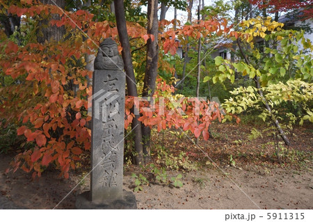 松本民芸館の道しるべ 秋 松本民芸館の道しるべ 秋 5911315