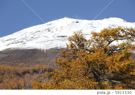 晩秋の富士山 5911530