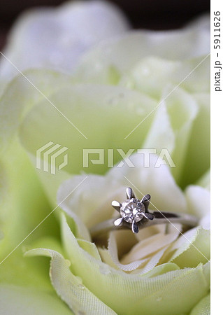 タテ爪ダイヤモンドリングと白薔薇　ウエディングイメージ 5911626