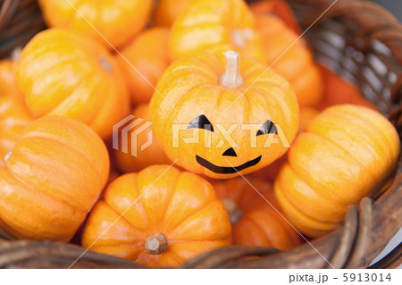 おもちゃカボチャ 5913014